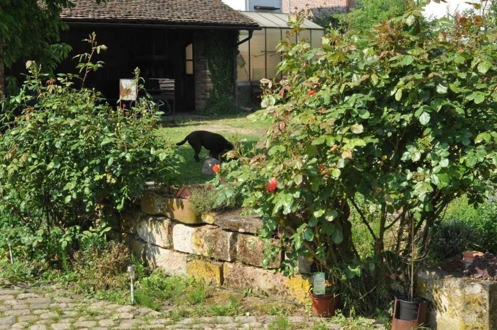 Gaestezimmer - Fuhrhalterei Maul Breuberg Luaran gambar